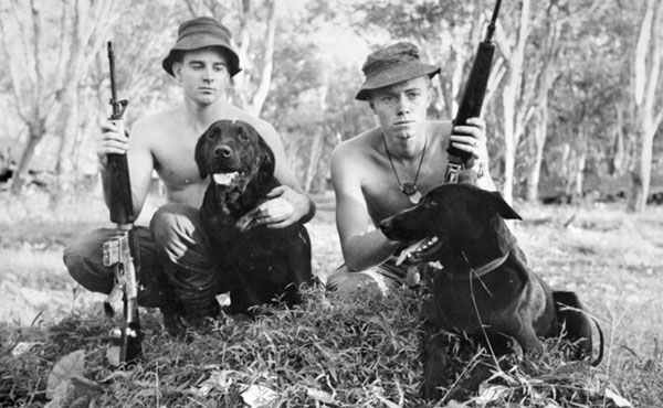 Military working dogs