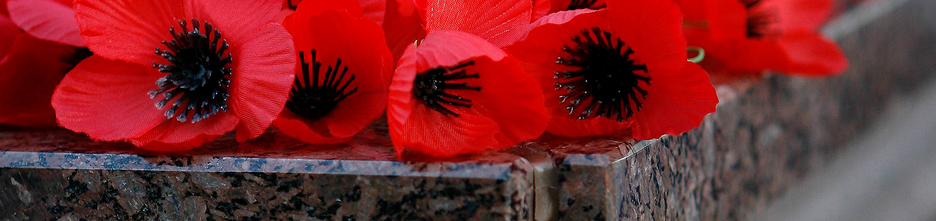 Poppies on a grave