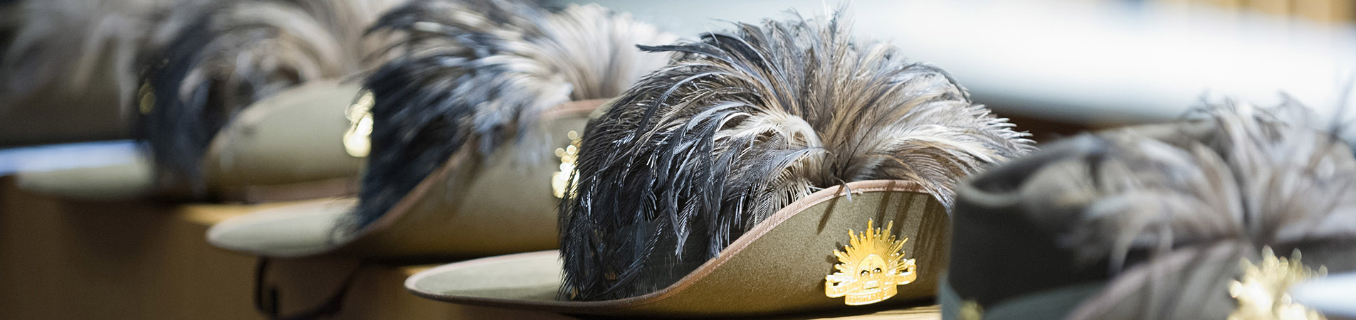 Emu feathers and Rising sun army hat