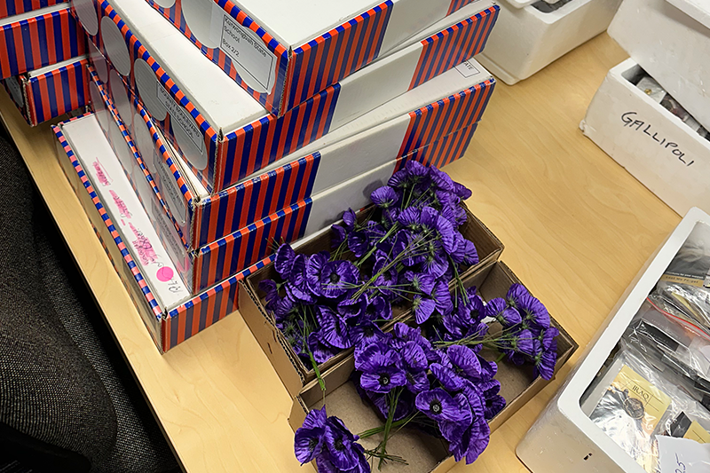 Bray Park-Strathpine RSL Sub Branch purple poppies