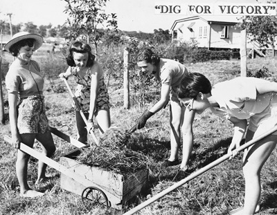 Women digging a Victory Garden during WWII