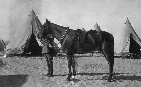 Major General Sir William Bridges and his horse Sandy