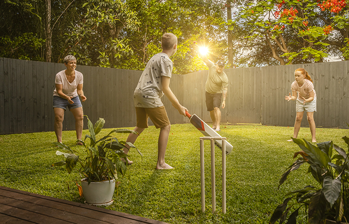 Family cricket