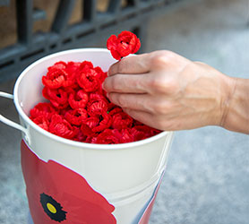 Place a poppy at ANZAC Square