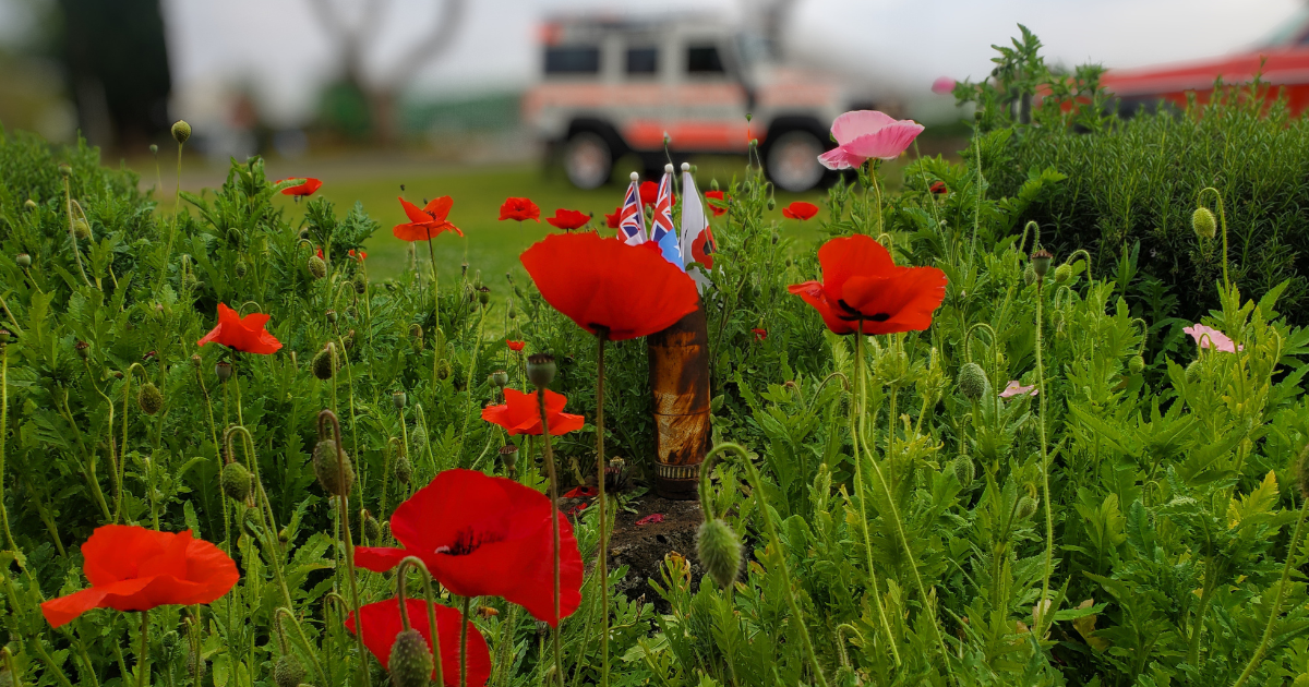 Veteran Heather Smiths garden poppies