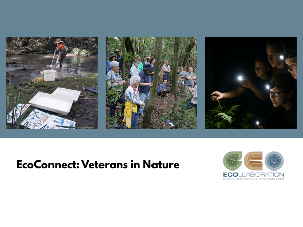 EcoConnect: Veterans in Nature